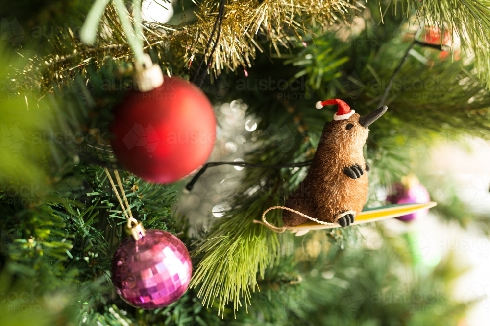 Platypus Christmas decoration hanging on a tree - Australian Stock Image