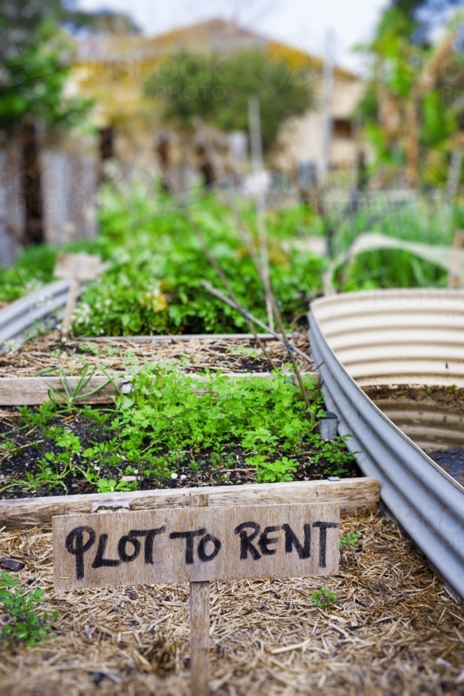Plot to rent in community garden - Australian Stock Image