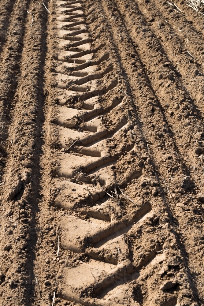 Image of ploughed paddock planted with seeds - Austockphoto