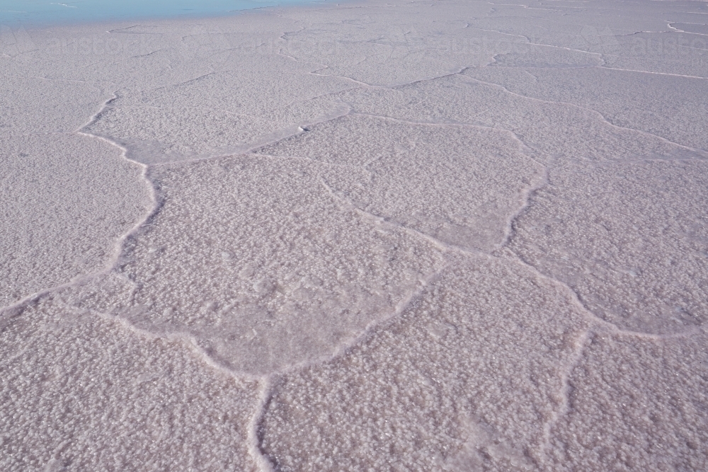 Polygonal pattern in salt crust on a salt lake - Australian Stock Image