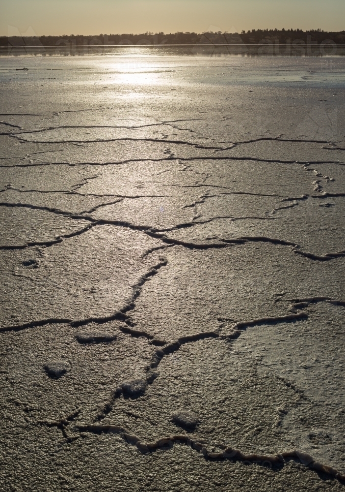 Polygonal pattern in salt crust on a salt lake with backlit sun - Australian Stock Image