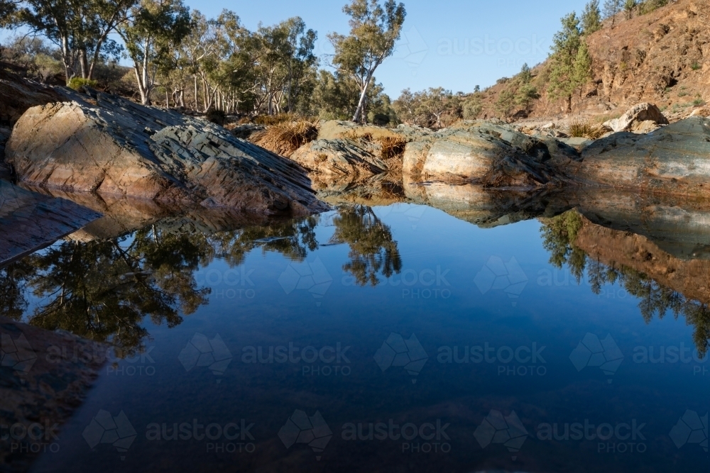 pooled water in gum lined outback creek - Australian Stock Image