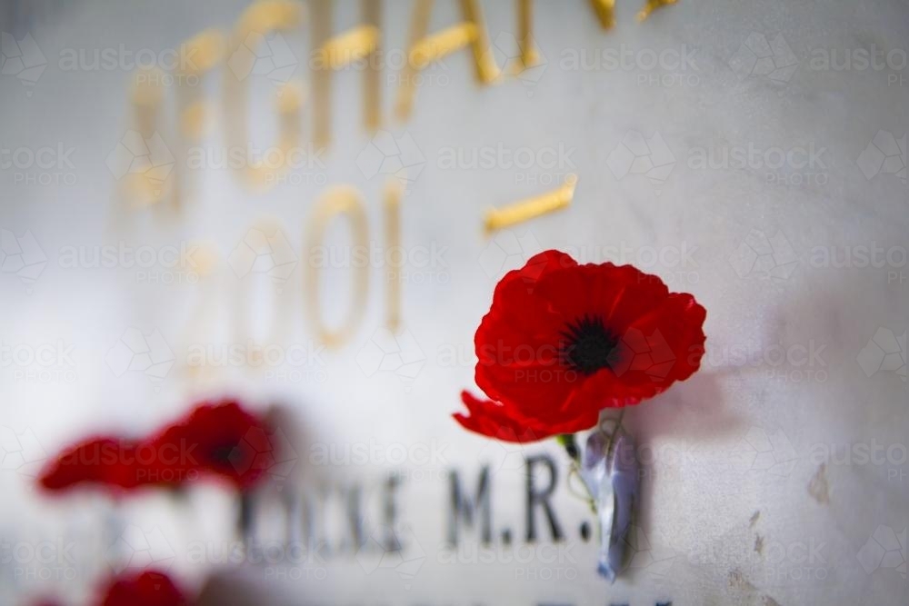 Poppy at war memorial wall - Australian Stock Image