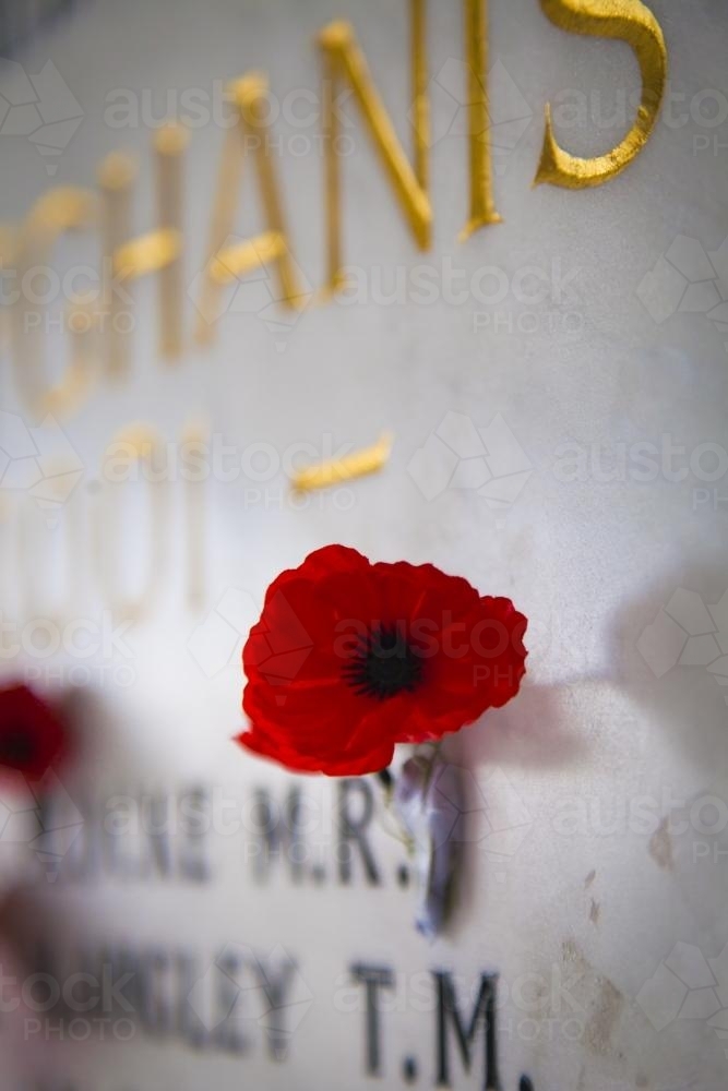Poppy at war memorial wall - Australian Stock Image