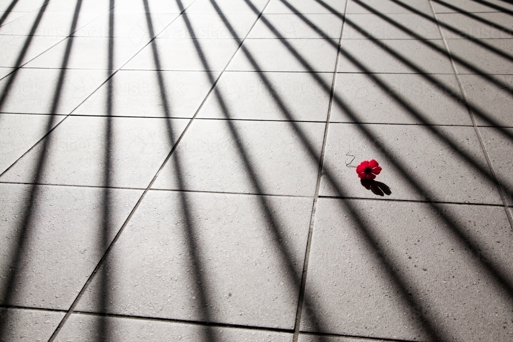 Poppy fallen on the ground at a war memorial - Australian Stock Image