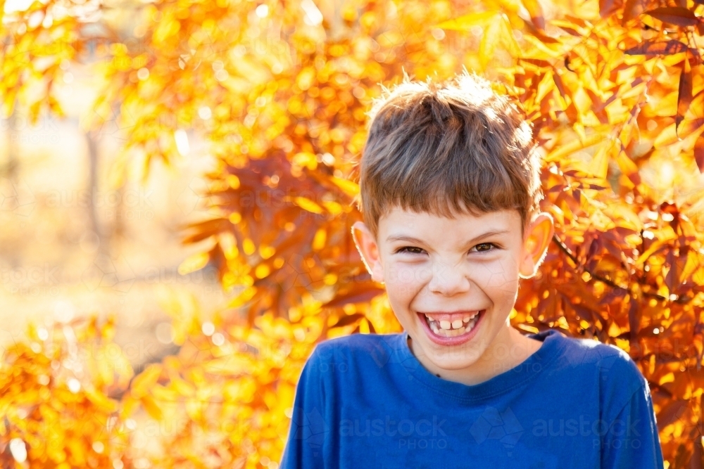 Portrait of a happy young boy laughing in autumn - Australian Stock Image
