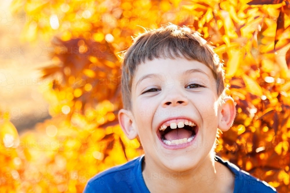 Portrait of a happy young boy laughing in autumn - Australian Stock Image