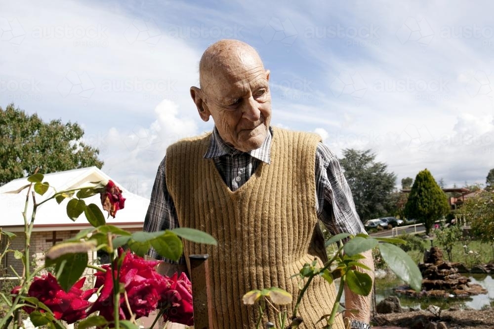 Portrait of elderly man standing in a rose garden at an aged care facility - Australian Stock Image