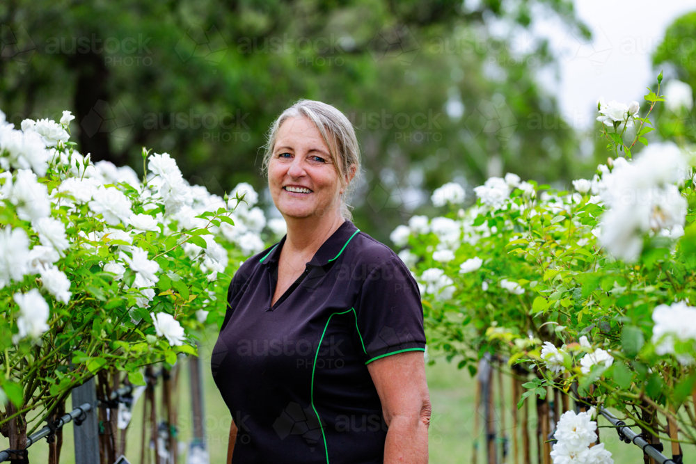 Portrait of female horticulturalist standing amongst white roses in nursery garden - Australian Stock Image