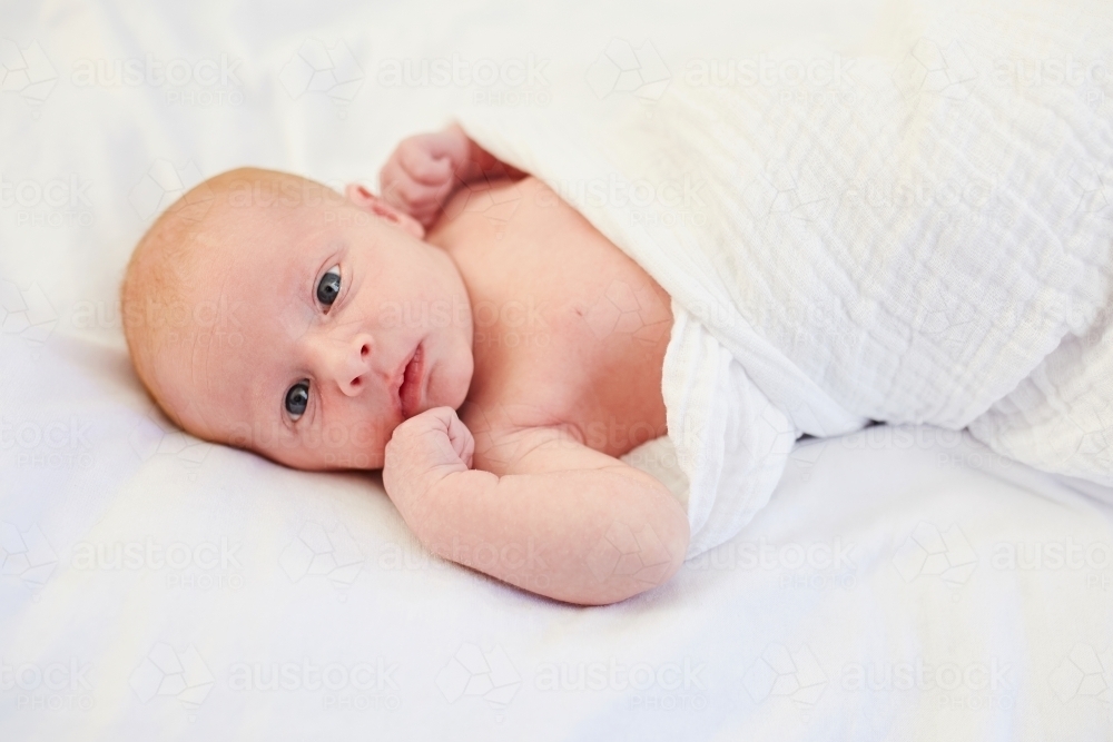 Portrait of newborn baby - Australian Stock Image