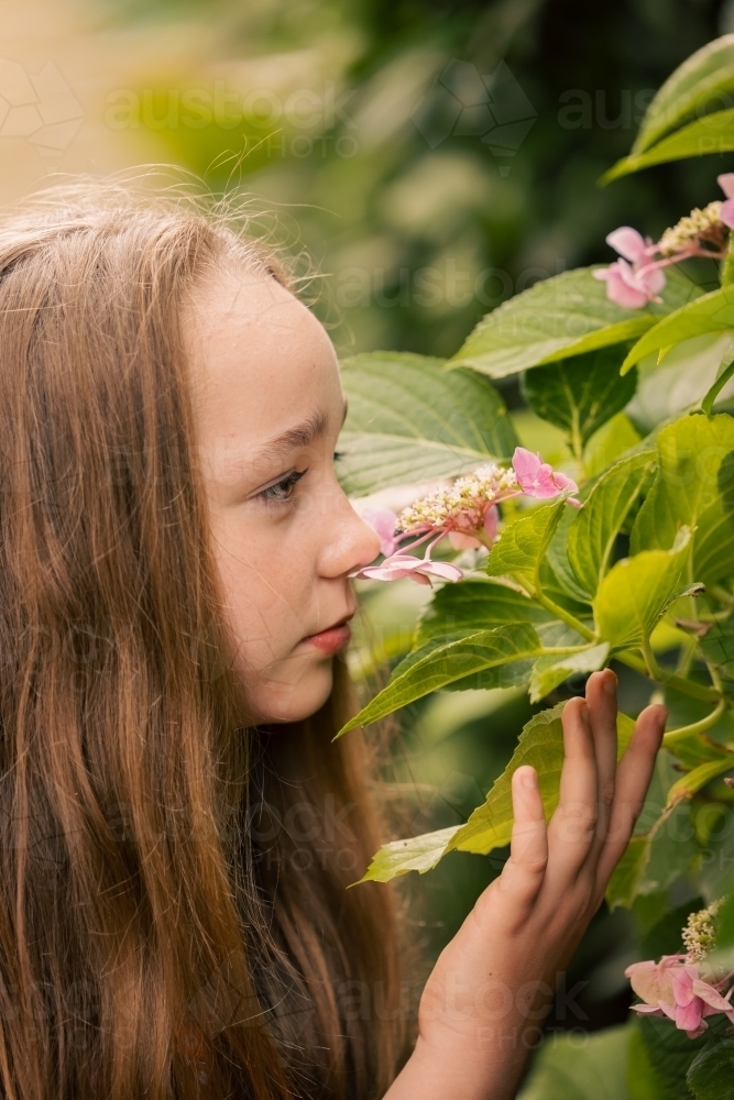 Portrait of pre-teen girl in lush garden setting - Australian Stock Image