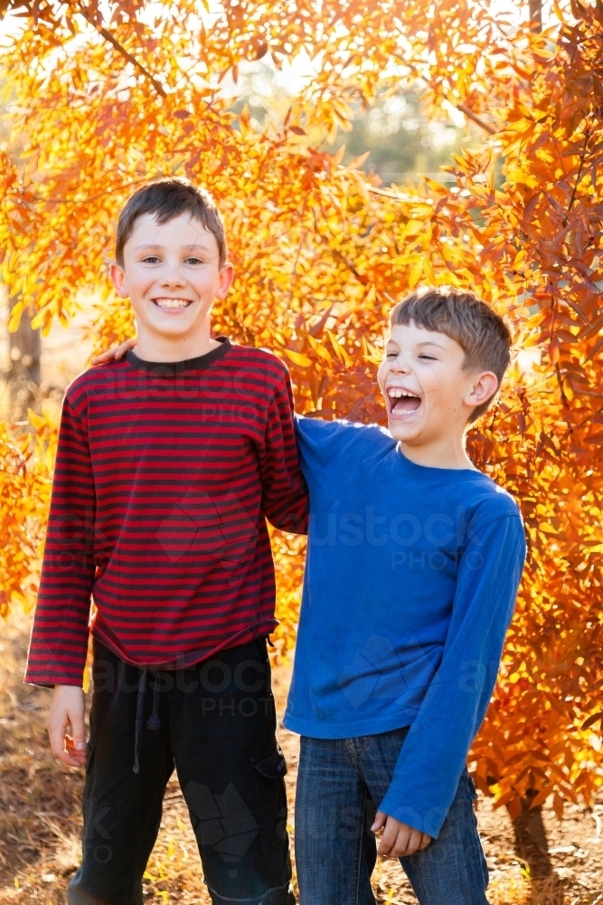 Portrait of young brothers laughing together in autumn - Australian Stock Image