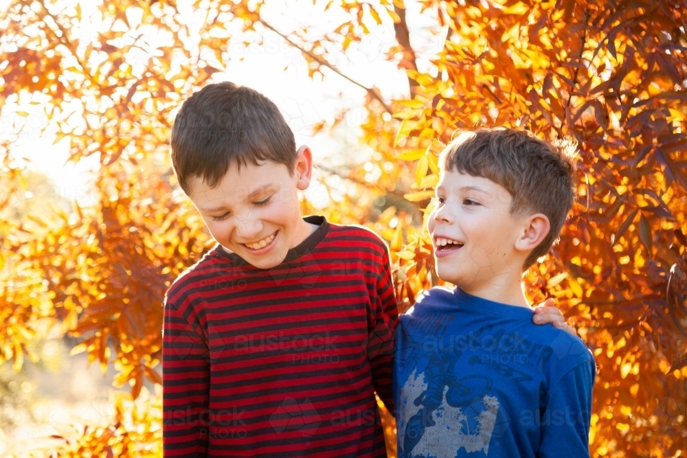 Portrait of young brothers laughing together in autumn - Australian Stock Image