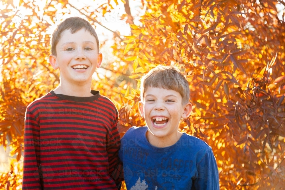 Portrait of young brothers laughing together in autumn - Australian Stock Image