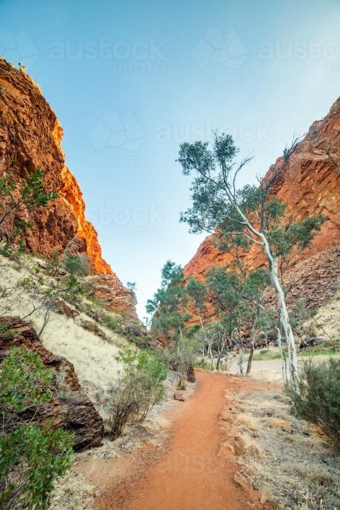 Portrait view of pathway among red rock at National Park Ranges - Australian Stock Image
