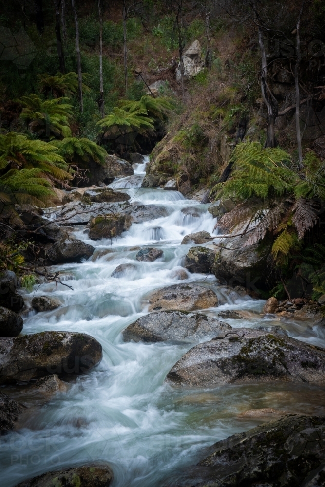 Portrait view of water rapids coming down along the river - Australian Stock Image