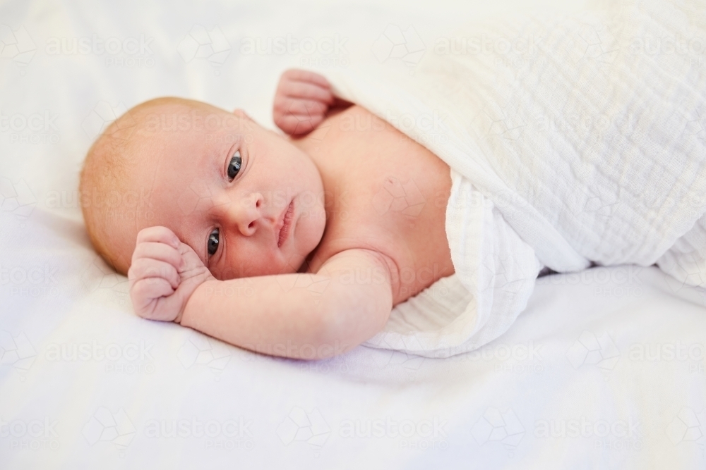 Portraitof newborn baby - Australian Stock Image