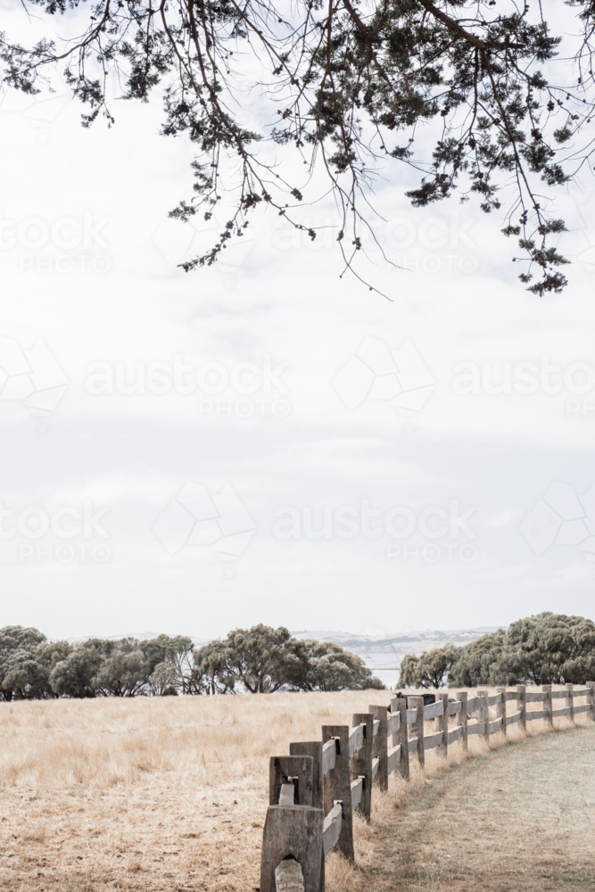 Post and rail fence with dry, summer grasses and trees in background - Australian Stock Image