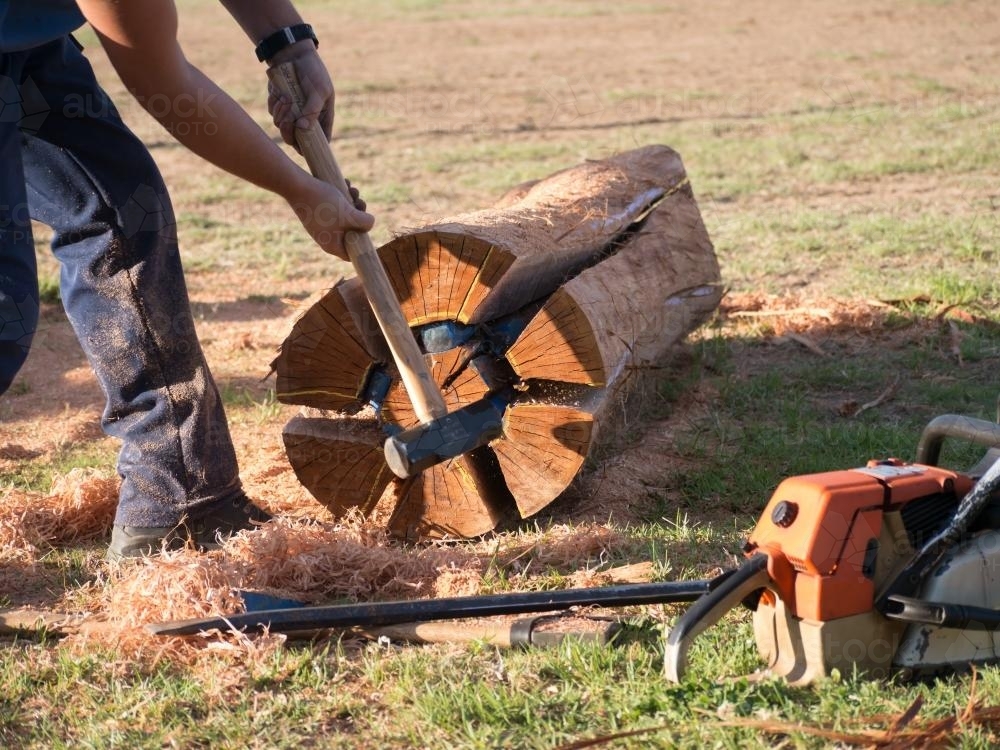 Image of Post splitting competition - Austockphoto