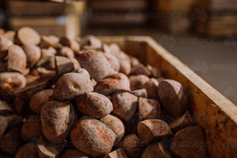 Potatoes in wooden crate in sorting factory - Australian Stock Image