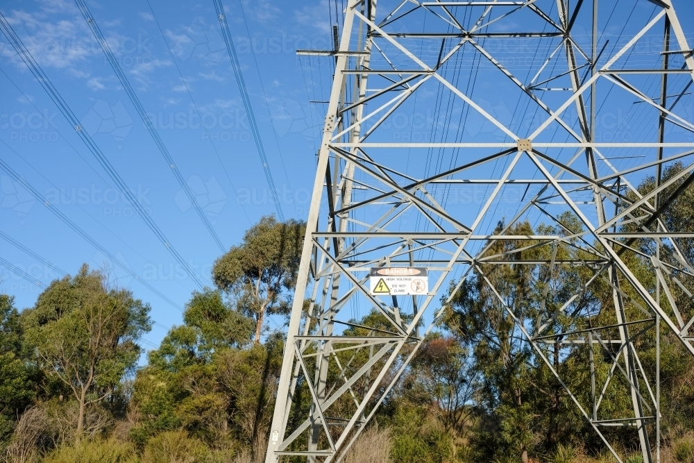 Power lines and power line tower in bushland - Australian Stock Image