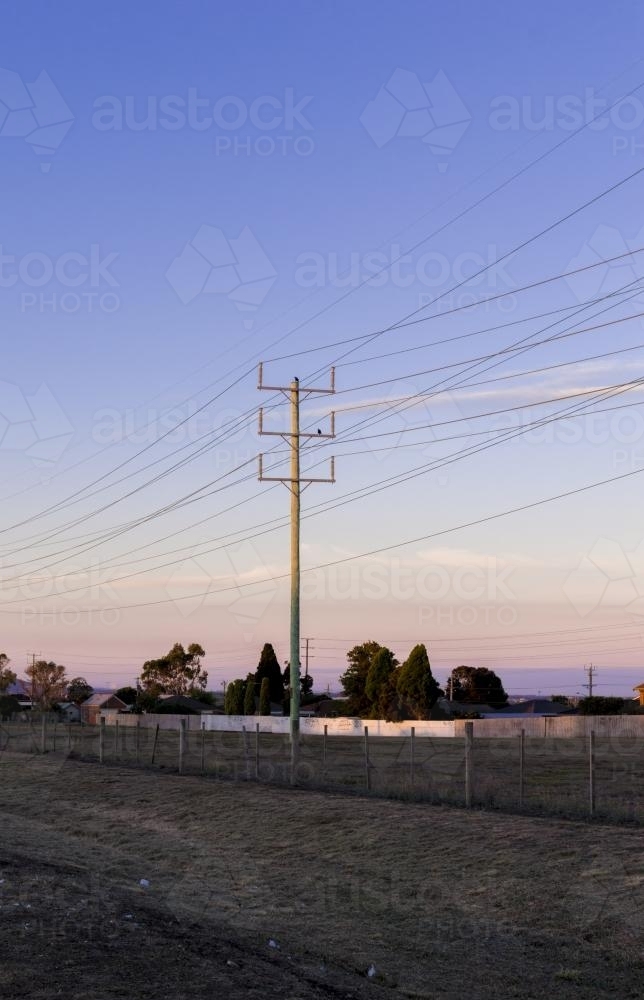 Power Lines at Dusk - Australian Stock Image