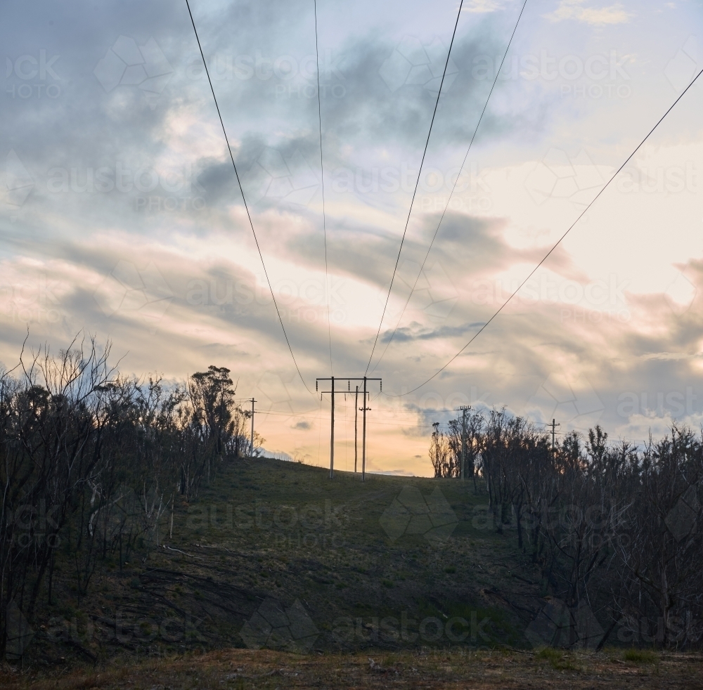 Power lines running through cleared bushland : Austockphoto Power lines running through cleared bushland - Australian Stock Image