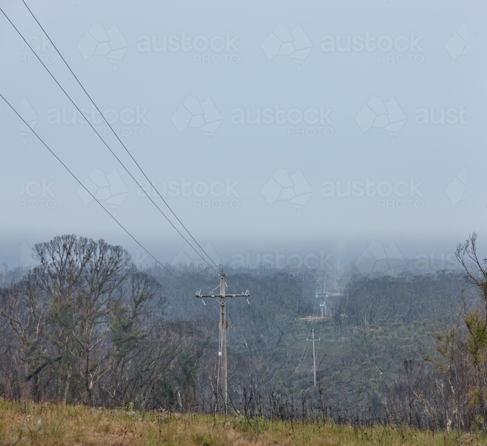 Power lines running through cleared bushland - Australian Stock Image