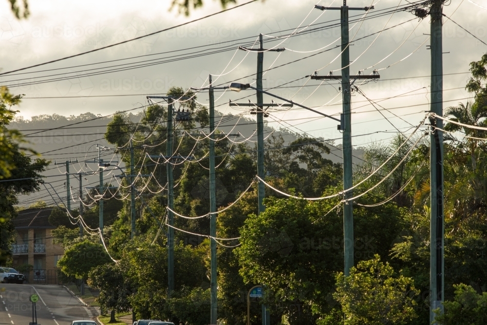 Power lines suspended on electricity poles on a street in Brisbane, Queensland - Australian Stock Image