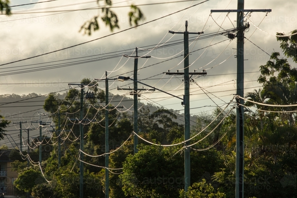 Power lines suspended on electricity poles on a street in Brisbane, Queensland - Australian Stock Image