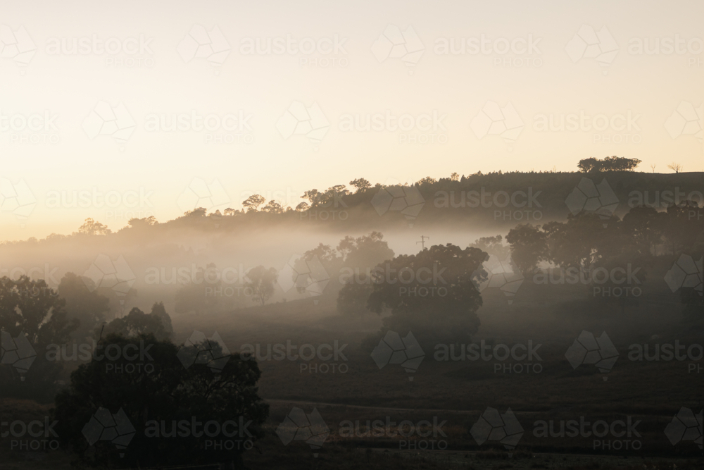 Power pole visible through early fog on cold morning in rural Australia - Australian Stock Image