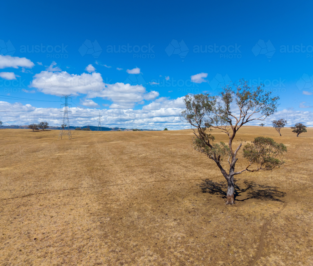 Power Pylons from the Sapphire Wind Farm - Australian Stock Image