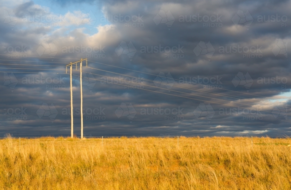 Powerline and power pole in a paddock in rural new south wales - Australian Stock Image