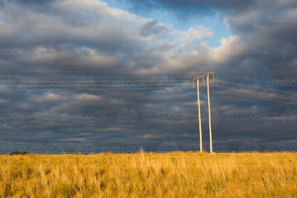 Powerline and power pole in a paddock in rural new south wales - Australian Stock Image