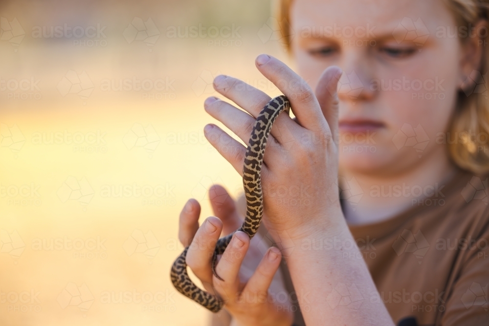 Pre-teen adolescent boy holding pet children's python snake - Australian Stock Image