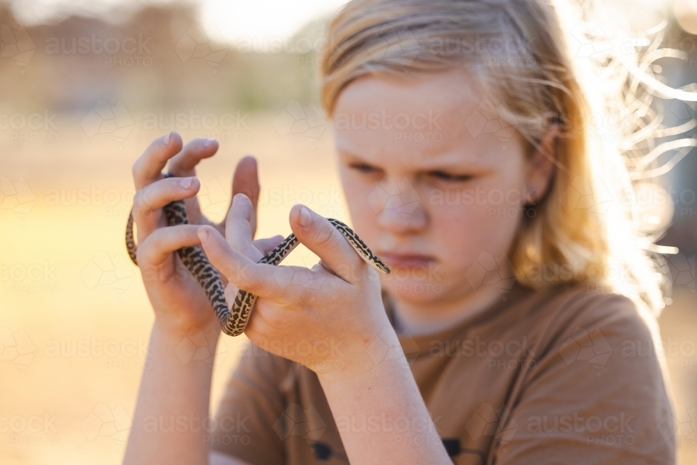 Pre-teen adolescent boy holding pet children's python snake - Australian Stock Image