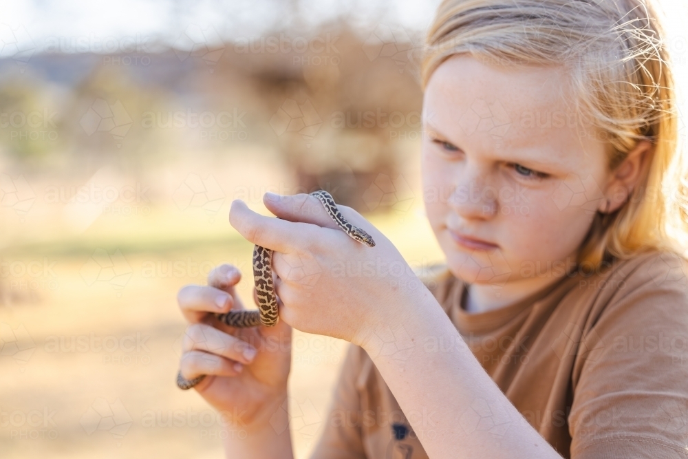 Pre-teen adolescent boy holding pet children's python snake - Australian Stock Image