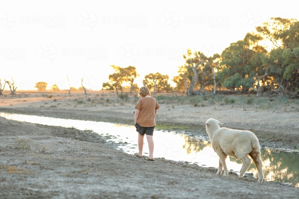 Pre-teen boy walking along creek being followed by pet sheep in dry remote bush setting - Australian Stock Image