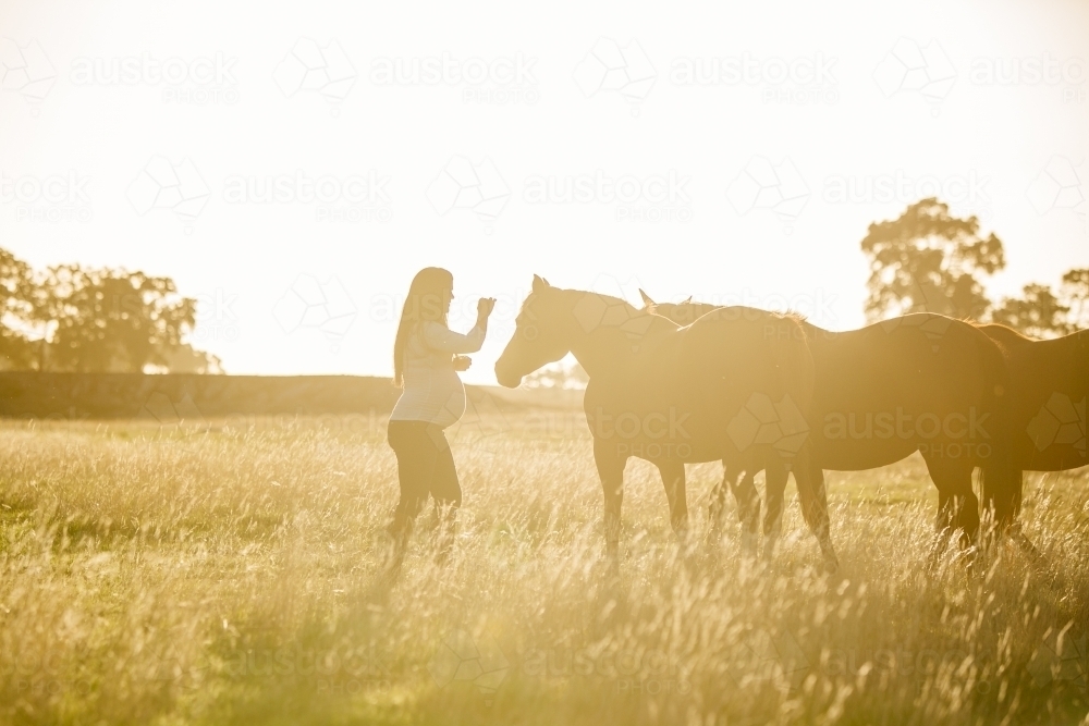 Pregnant woman with her pet horses - Australian Stock Image