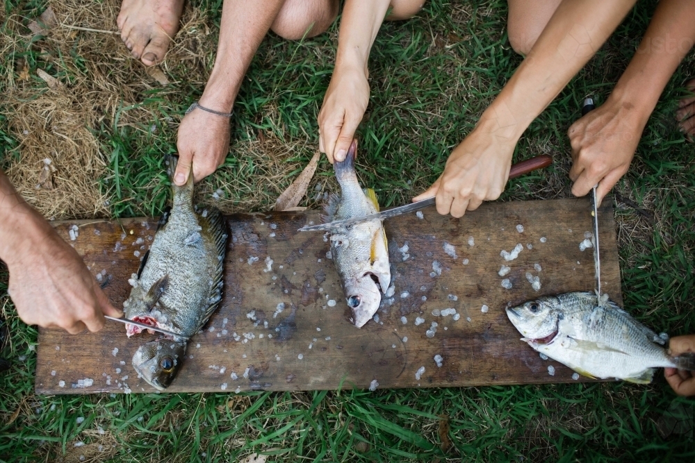 Preparing fresh caught fish - Australian Stock Image