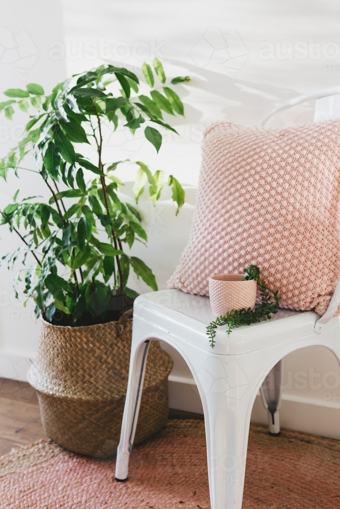Pretty blush pink cushion and plant pot on a white chair next to a pot plant - Australian Stock Image