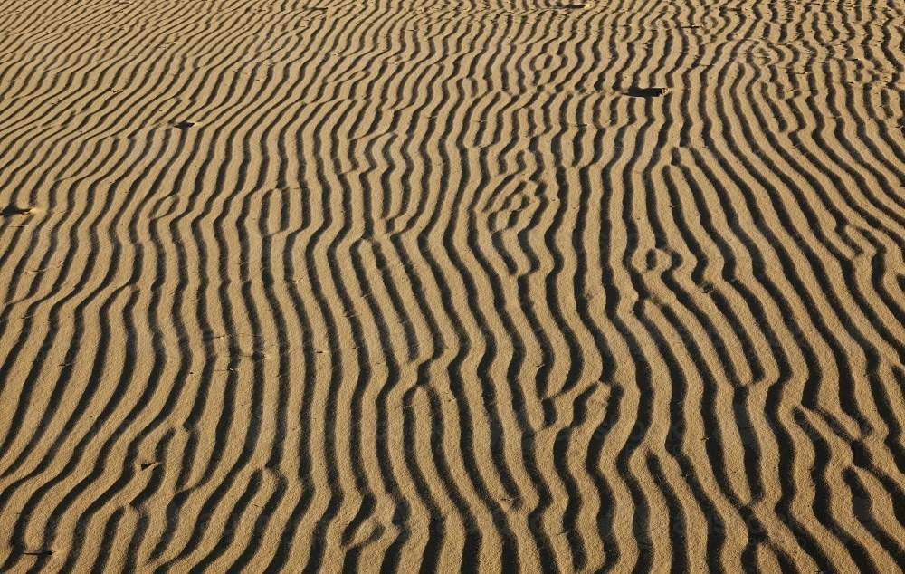 Print of patterns in desert sand - Australian Stock Image