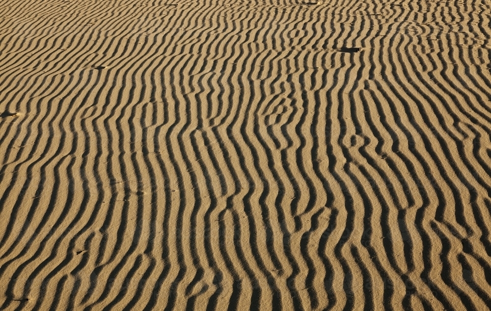 Print of patterns in desert sand - Australian Stock Image