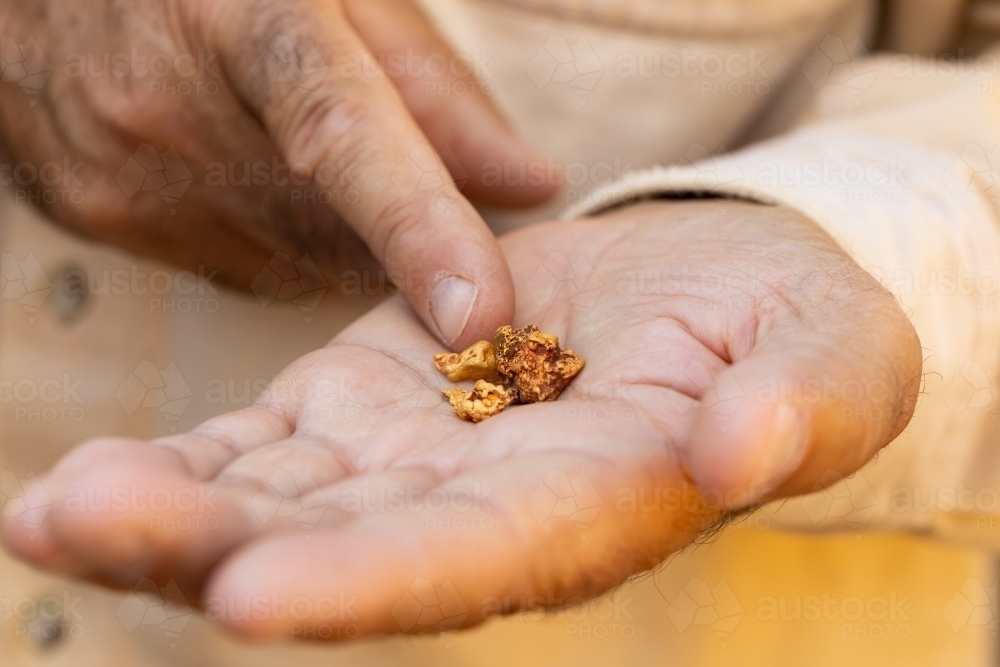 prospector's finger pointing to gold nuggets in his hand - Australian Stock Image