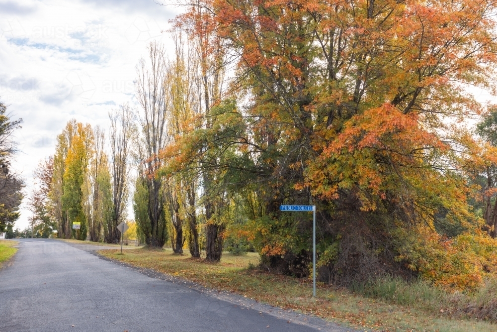 Public toilets road sign surrounded by vibrant autumn foliage - Australian Stock Image