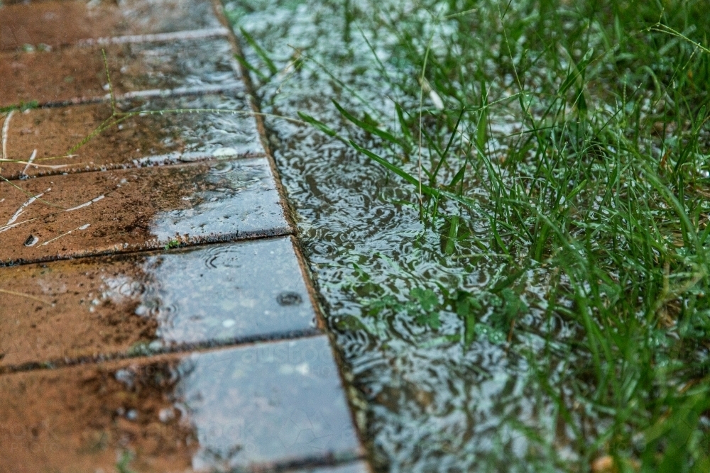 Image of puddle in the grass and tiles in the rain Austockphoto
