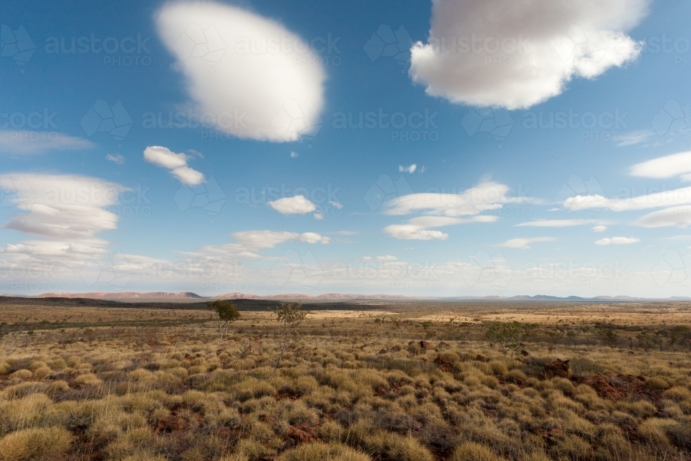 Puffy clouds above an arid spinifex desert landscape - Australian Stock Image