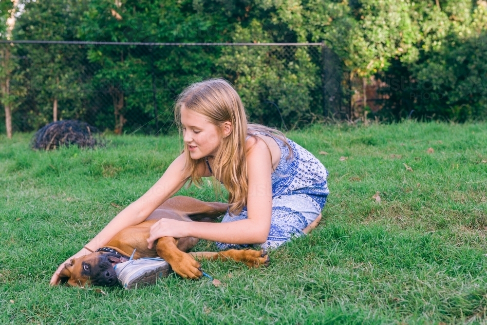 Puppy chewing a shoe on the grass with a girl - Australian Stock Image