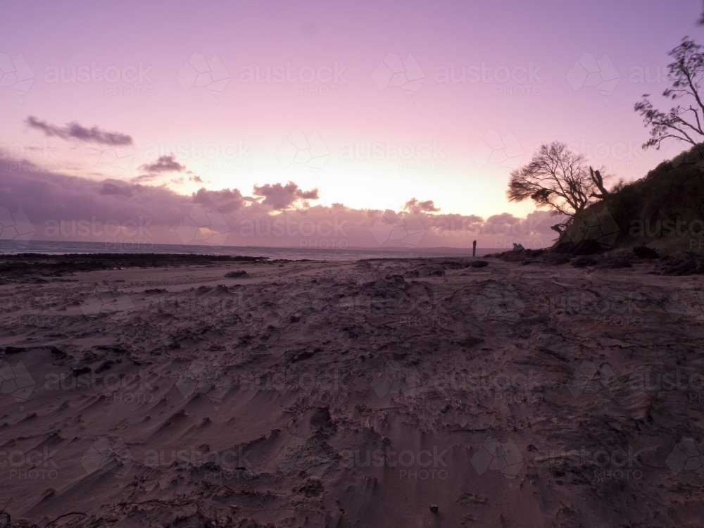 Purple windswept sunset at beach - Australian Stock Image