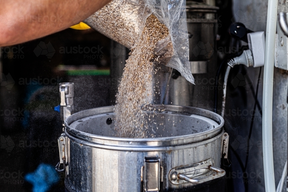 Putting wheat into boiler to make beer - Australian Stock Image